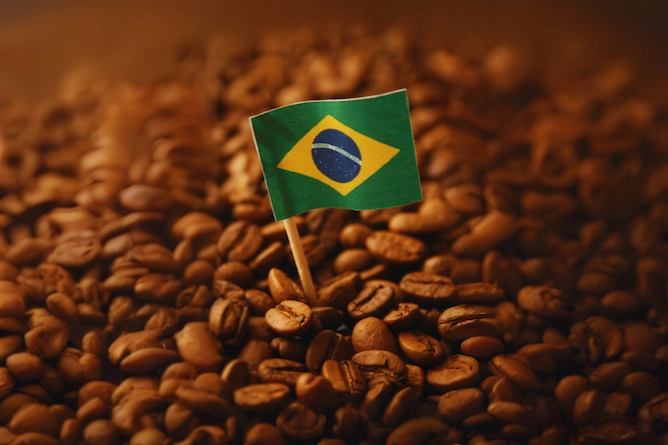 grãos de cafés torrados despejados sob uma mesa e em cima, "fincada" uma pequena bandeira do Brasil