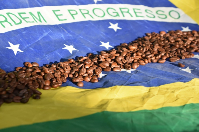 um pedaço de uma bandeira do brasil disposta sobre uma mesa e sobre ela vários grãos de cafés torrados