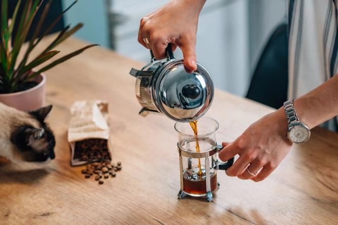 em uma mesa, no canto um vaso de flor e um gato observando o dono preparar café. Ele faz café na prensa francesa e serve numa xícara transparente. A prensa francesa é uma cafeteira de vidro com um filtro de metal que separa o líquido do sólido após o tempo de infusão